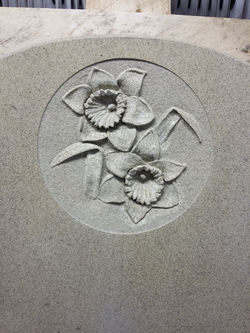 CameraZOOM-20161207112225463