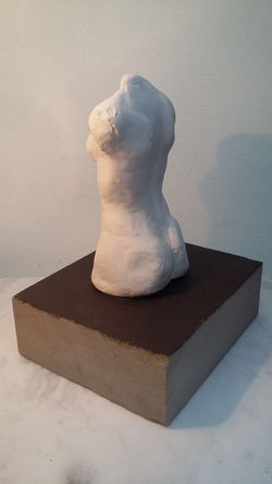 CameraZOOM-20170728191411216