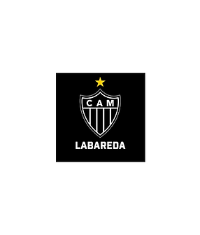 LOGO CLUBE LABAREDA.png