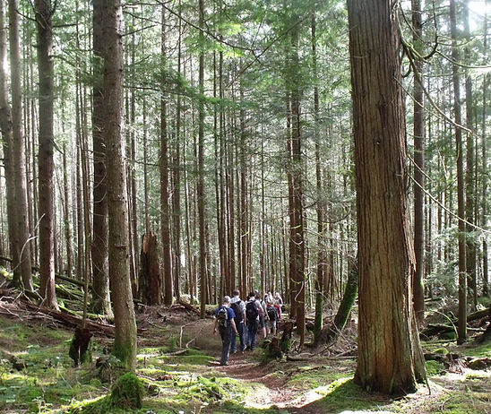 Sunshine Coast Trail Hike