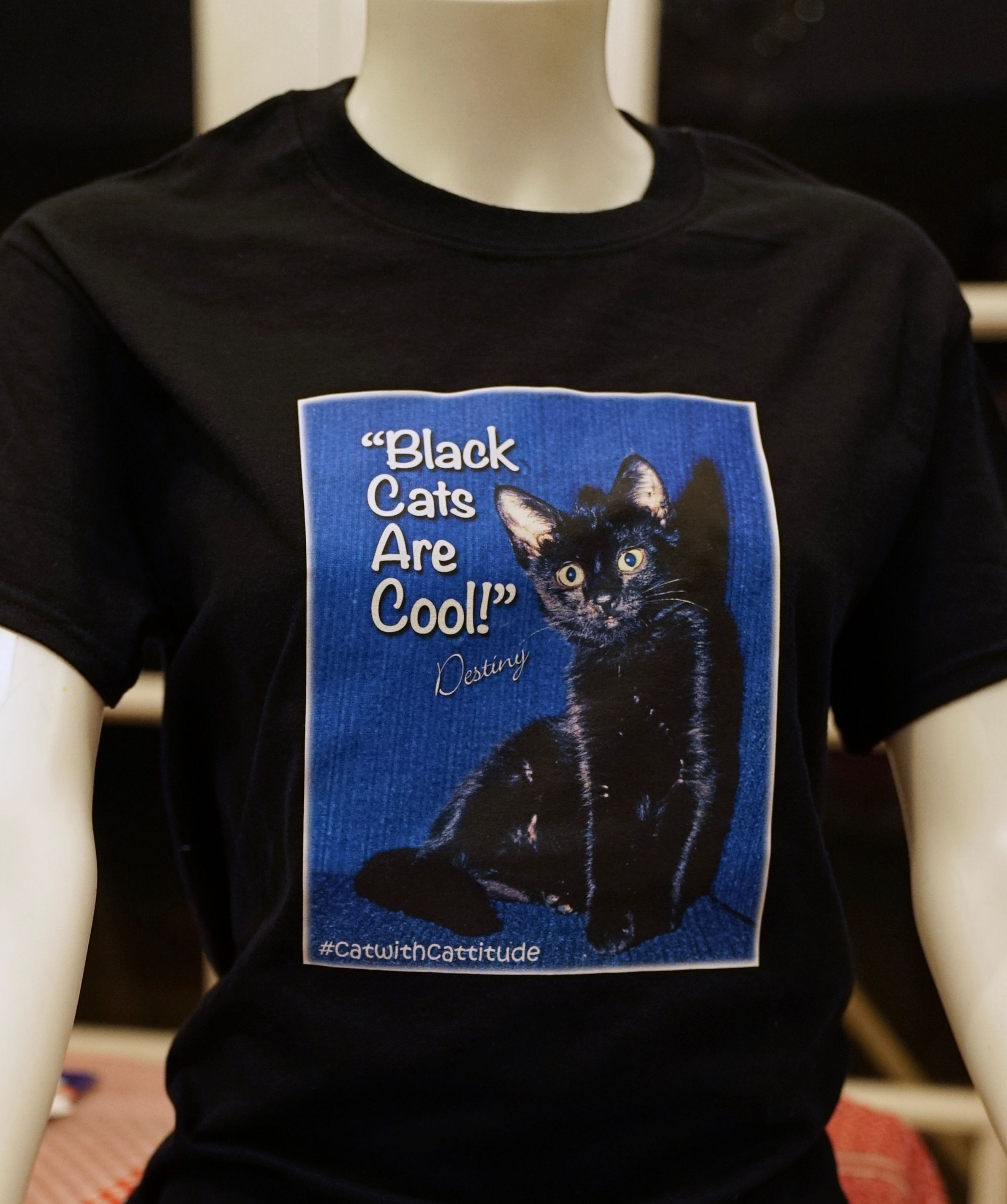 T-Shirt with Destiny's slogan