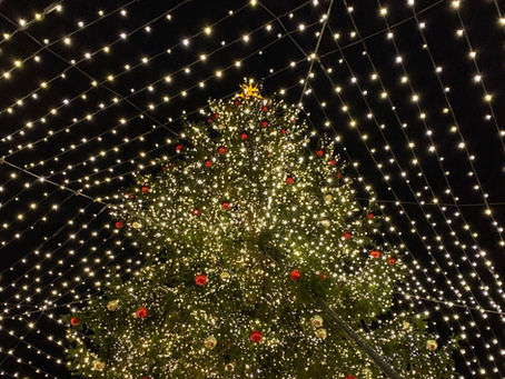 HO HO HO MERRY XMAS!