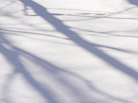 Hope is the seed of healing