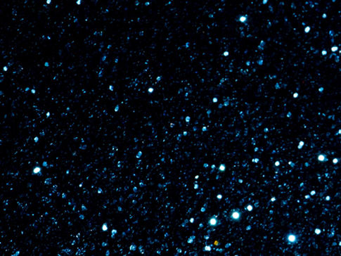 Le sperme et l’ovule