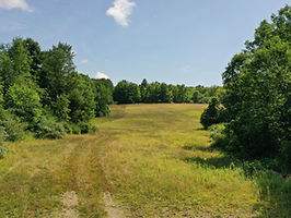DJI_0524 - Copy.JPG