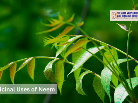 Medicinal Uses of Neem (Azadirachta indica): Overview, Benefits, Risks, and Extracts