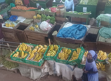 Farmers Market Above.jpg