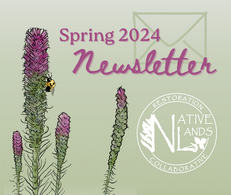 Spring 2024 Newsletter