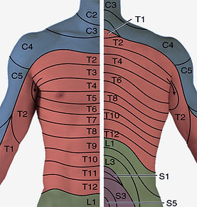 trigger-point-injections-3.jpeg