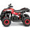 Miniatura: QUADRICICLO  ELÉTRICO INFANTIL  1000W 