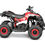 Miniatura: QUADRICICLO  ELÉTRICO INFANTIL  1000W 