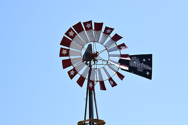 DSC_4572.jpg