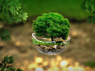 How Can SIPs Construction in San Diego, CA Benefit the Environment and Economy?