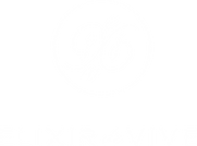 Elixir de Vive