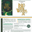 Into the Woods Jr Auditions Flyer theatrical performance school event