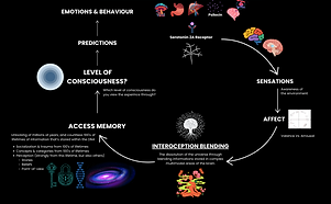 Screenshot 2025-07-13 at 10.40.31 AM.png