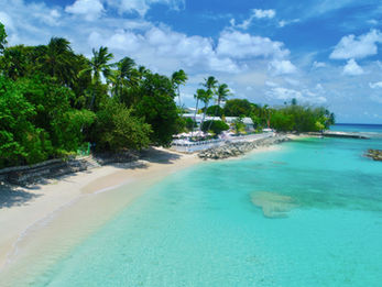 The Cobblers Cove Cup - Barbados