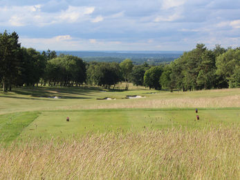 EFFINGHAM GOES BACK TO THE FUTURE TO UPGRADE CLASSIC COLT LAYOUT