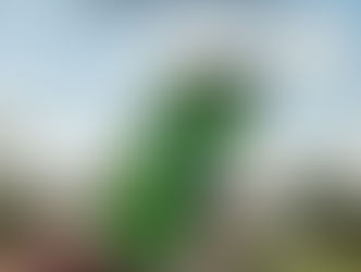 FREE GPS APP FROM BUSHNELL GOLF GETS A MASSIVE UPGRADE