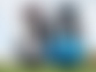 Bags of style and performance in 2019 PING cart bag collection