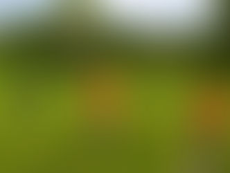 ‘CONTROVERSIAL' JUNIOR DRESS CODE POLICY APPLIED TO SIX MORE RESORTS