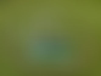 3 HAMMERS GREENKEEPERS MAKE BALLSY TRIBUTE TO THE QUEEN