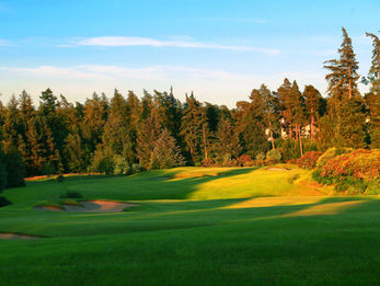 QHOTELS CELEBRATES BLACK FRIDAY WITH BIGGEST-EVER GOLF PROMOTION