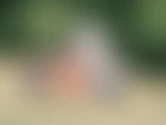 CRANLEIGH BEES CREATE A BUZZ OF EXCITEMENT