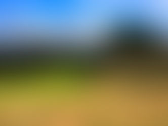 DELAMERE FOREST CELEBRATES ITS COURSE MAKE OVER