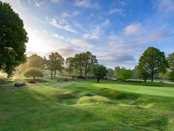 Berkhamsted Golf Club receives international sustainability accolade