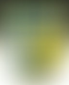 SURREY LADIES’ COUNTY GOLF ASSOCIATION NEWS ROUND UP SPRING 2022