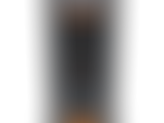 The best present under the Christmas tree this year