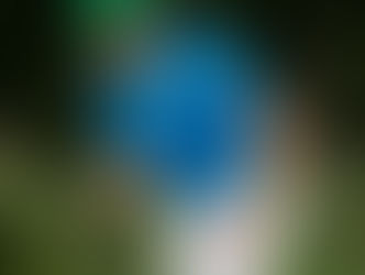 World class field lines up for European Amateur