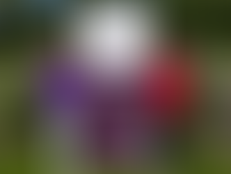 NEW ELITE WOMEN'S AMATEUR CHAMPIONSHIP LAUNCHED FOR 2027 THE HEATHLAND VASE