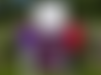 NEW ELITE WOMEN'S AMATEUR CHAMPIONSHIP LAUNCHED FOR 2027 THE HEATHLAND VASE