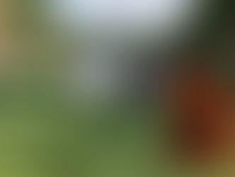 Tour-winning s259 wedges deliver more spin and control