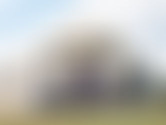 STRAUSS GOES INTO BAT FOR LEADBETTER GOLF ACADEMY