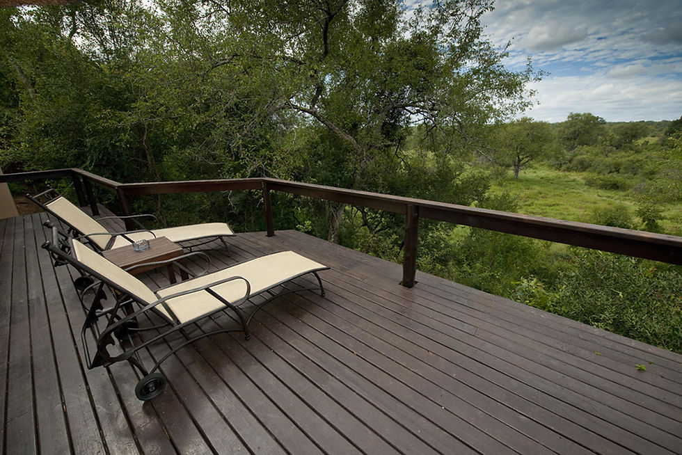 How Far in Advance Should You Book a Luxury Safari in South Africa?