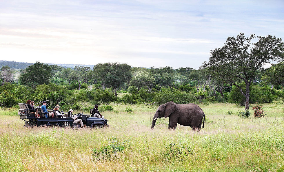 Thumbnail: Londolozi Private Granite Suites