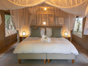 How to Choose Between a Private Reserve and a National Park Safari