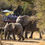 Thumbnail: Serondella Safari Lodge