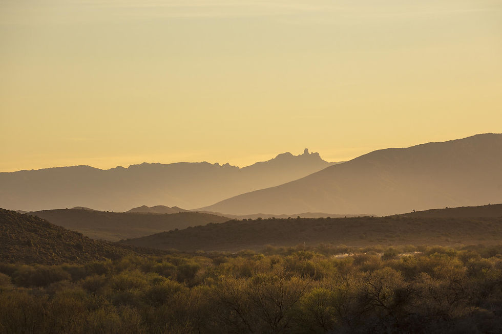 Thumbnail: Gondwana Family Lodge