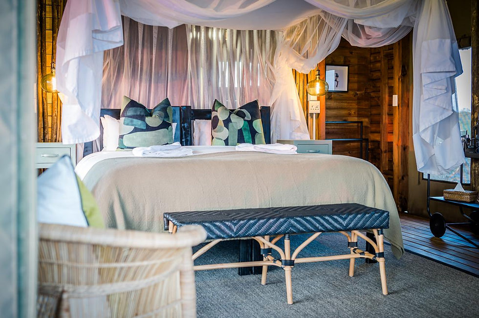 Thumbnail: nThambo Tree Camp