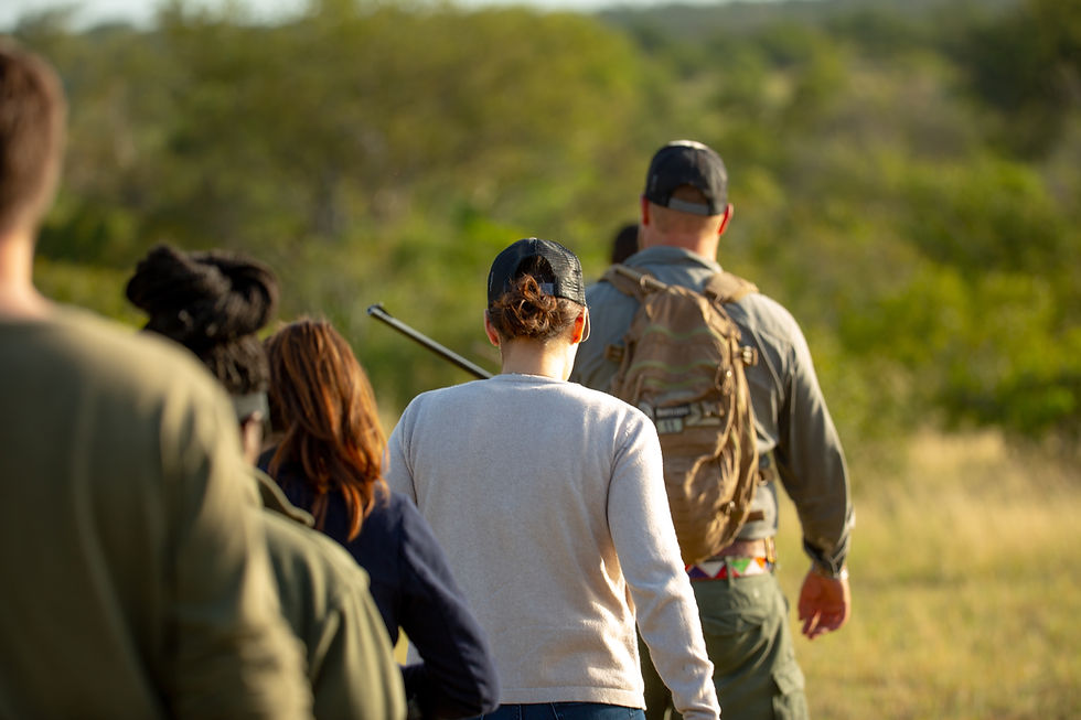 Thumbnail: Bateleur Safari Camp