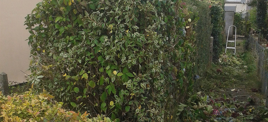 20151010_113621.jpg