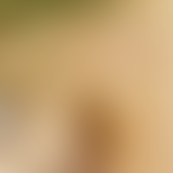 PALO SANTO: PARA QUE SERVE? QUAIS OS BENEFÍCIOS? COMO USAR?