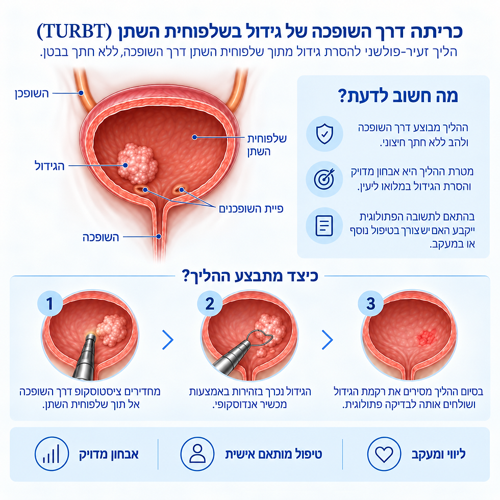 Codex Image Sep 11, 2026, 12_10_11 AM.png