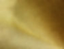 PBI Max LP 2_edited.jpg