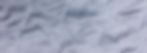 GLIDE WITH PBI G2 HEADER.jpg