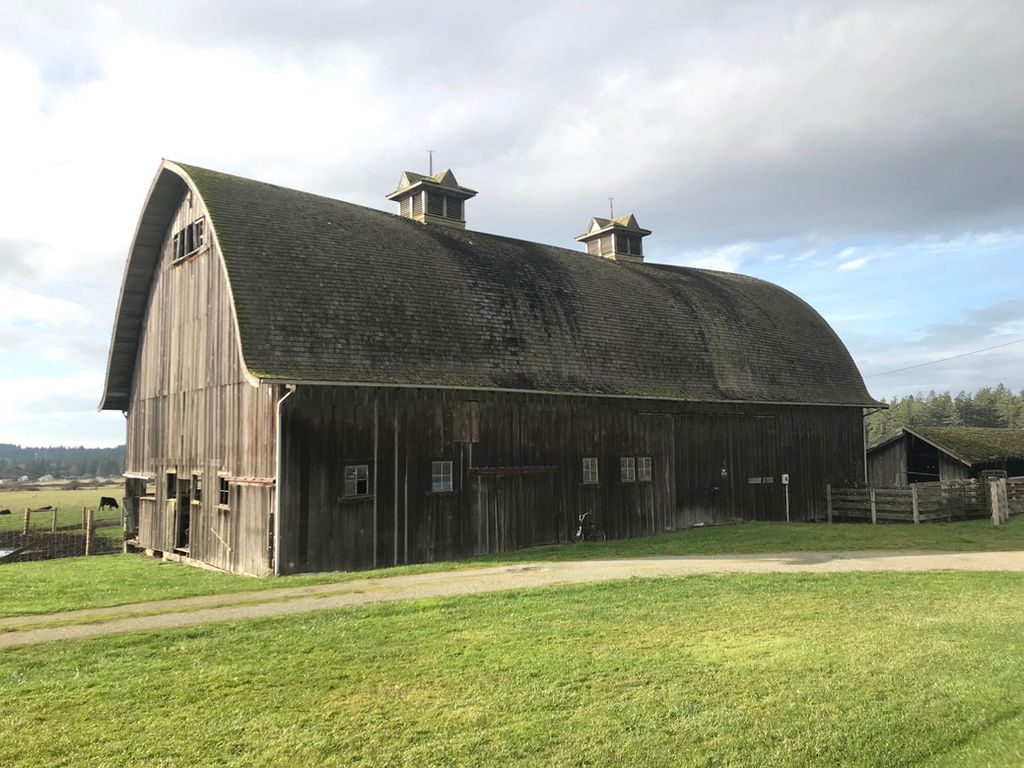 History The Roller Barn